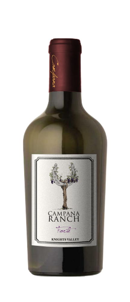 Campana 2017 Forte Port 500ml